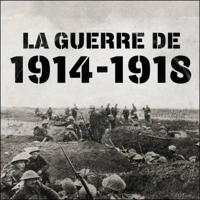 En 1914, quel évènement a été l'élément déclencheur de la Première Guerre mondiale ?