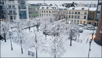 Enfin dehors, tu voudrais te réchauffer avant de jouer, tu voudrais galoper...