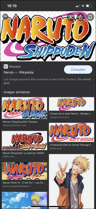 Comment s’appelle les personnes de l’équipe de Naruto ?