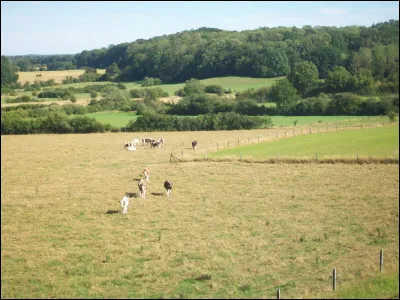 De quel département français est originaire le fromage "Vache qui rit" ?