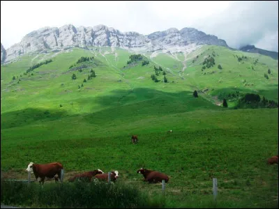 Quel type d'agent pathogène est à l'origine de la maladie de la vache folle ?