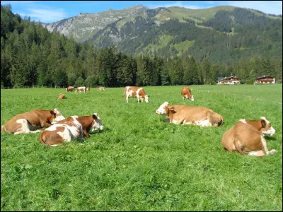 En 1961, quel grand chanteur l'acteur et humoriste Jean Poiret parodie-t-il avec son titre "Une Vache à mille francs" ?