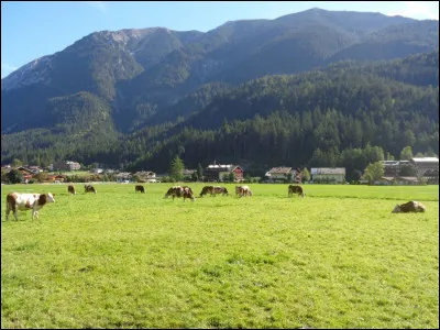 Dans quelle région actuelle pourrez-vous vous promener sur le plateau de Millevaches ?