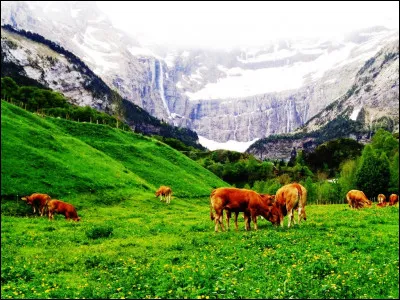 Quel détroit porte un nom signifiant littéralement, en grec ancien, "Passage de la vache" ?
