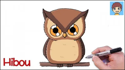 Hedwige est-elle la chouette de Harry ?