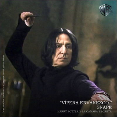 Severus Rogue est-il méchant ?
