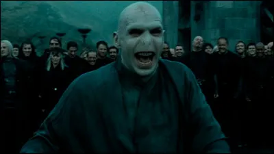 Voldemort meurt-il dans le 6 ?