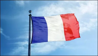 Quelle est la matière la plus utilisée en France ?