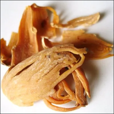 De quel fruit est extrait une &eacute;pice appel&eacute;e macis ?