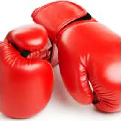 Quel boxeur, m&eacute;daill&eacute; d�or olympique, a &eacute;t&eacute; le premier &agrave; devenir champion du monde dans six cat&eacute;gories de poids diff&eacute;rents ?