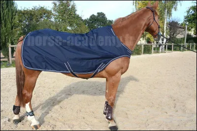 Que s'apprête à faire ce cheval ?