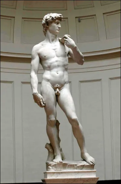 Il est l'auteur de ce "David", chef-d'oeuvre de la sculpture de la Renaissance, r&eacute;alis&eacute; entre 1501 et 1504 :