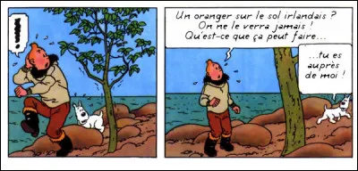 Certainement pas le prix "Citron", pour cette ballade !