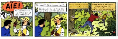 C'est Joe Dassin qui avait repris (en 1972), cette chanson d'un groupe mondialement connu [lequel ? voir le texte sur fond jaune]. Mais en l'occurrence, dans l'album de Tintin, il s'agit d'un autre insecte : lequel ?