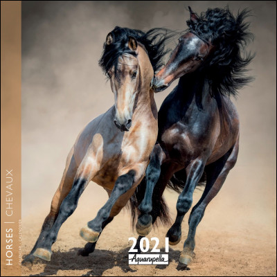 De quelle couleur est le cheval de gauche ?