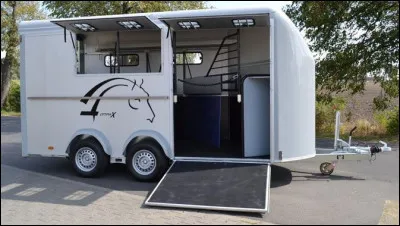 La nuit étoilée est une célèbre toile de...