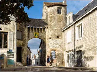 Les étoiles de mer sont des animaux benthiques. Que veut dire benthique ?