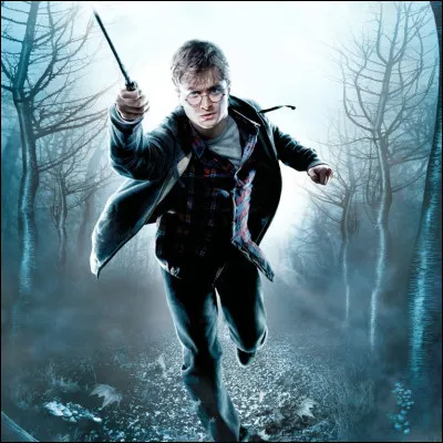 Il a fallu faire beaucoup de baguettes pour Harry, car...