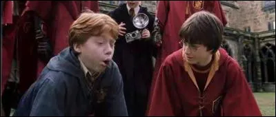 Dans "Harry Potter et la chambre des secrets" pendant la scène du "crache-limace", en quoi sont les limaces ?