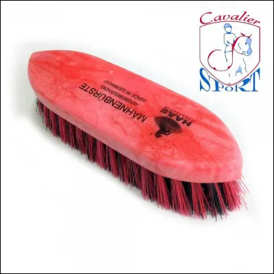 Comment s'appelle cette brosse ?