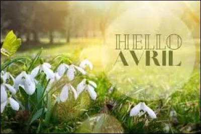 Dans quelle saison se situe le mois d'avril ?