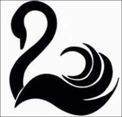 Voudrais-tu faire partie du Cygne Noir ?