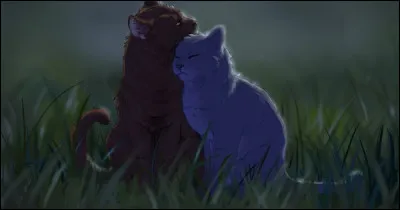 Comment s'appelle son compagnon ?