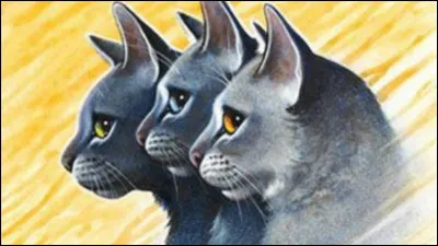 Comment se nomment ses chatons ?