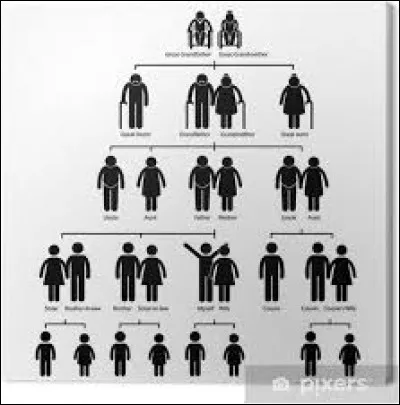 As-tu des origines qui parlent un langue différente de la tienne ?