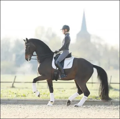 Dans quelle discipline est-il en en train de concourir ?