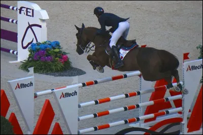 Quel est le nom de cet obstacle ?