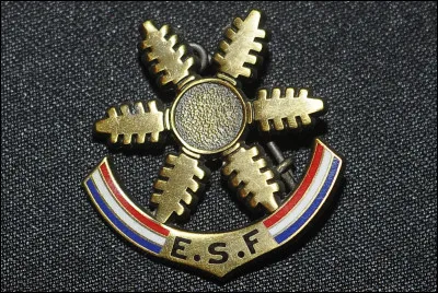 A l'Ecole de ski français, à quel niveau succède l'étoile de bronze ?