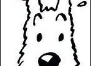 Quiz Quiz - Spcial Tintin
