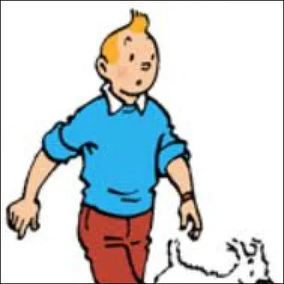Où dans lequel de ces pays Tintin s'est-il rendu ?