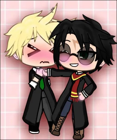 Aimes-tu Harry Potter ?