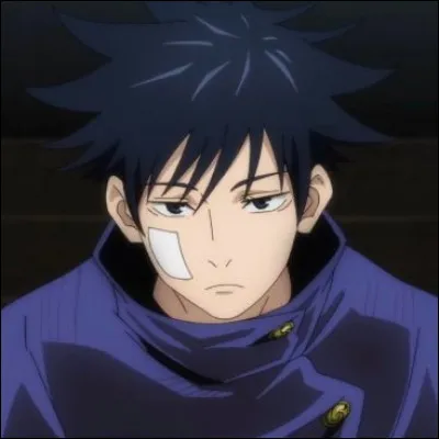 Vous voudriez des cheveux :