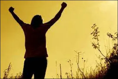 À quelle chanteuse doit-on la chanson "Victoire" en 2006 ?