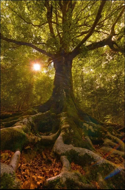 Ton endroit préféré est...