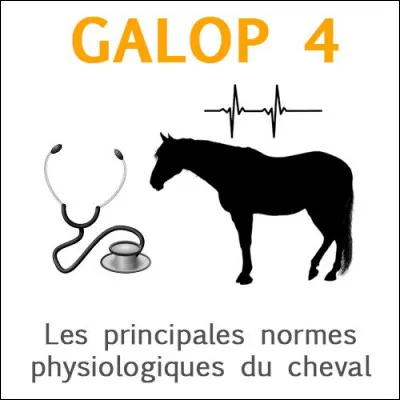 Quelles sont les normes physiologiques du cheval ?