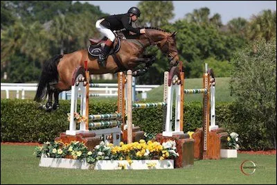 Comment s'appelle cet obstacle ?