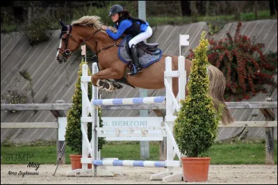 Comment s'appelle cet obstacle ?