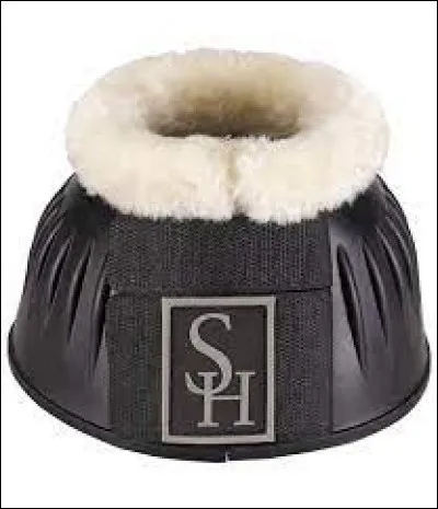 Quelle est cette protection ?