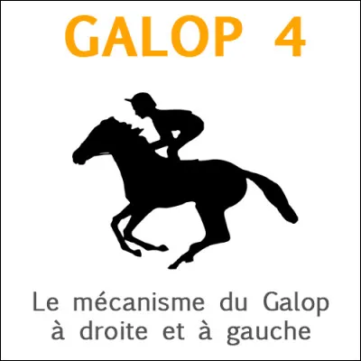 Quel est le bon mécanisme du galop à droite ?