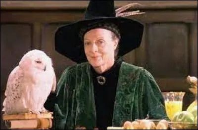 Quels sont ses centres dintérêts ?