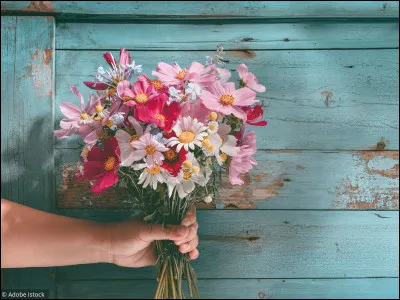 Quelle est ta fleur pr&eacute;f&eacute;r&eacute;e ?