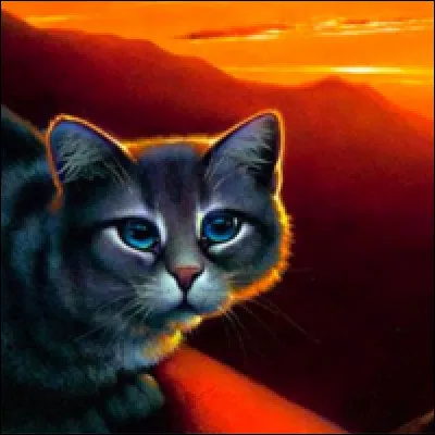 Quel est son pouvoir ?