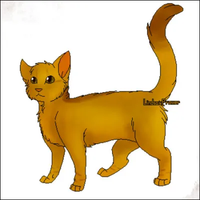 Donner la description finale de Pelage de Lion.