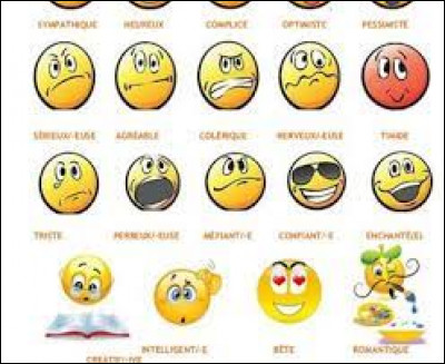 Comment te définirais-tu ?