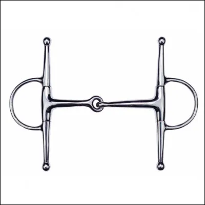 Comment s'appelle ce mors ?