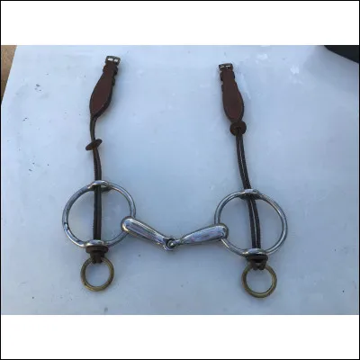 Comment s'appelle ce mors ?